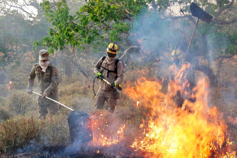 Governo lança chamada pública para projetos que visam prevenir incêndios no Cerrado